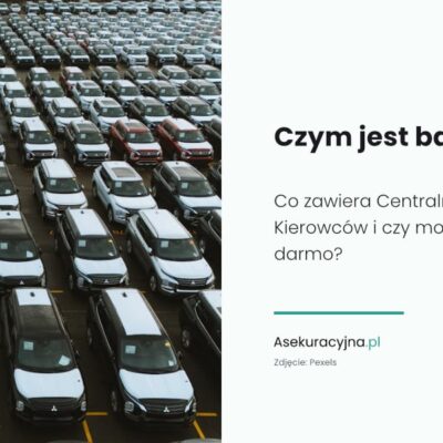 Czym jest baza CEPiK — Asekuracyjna.pl