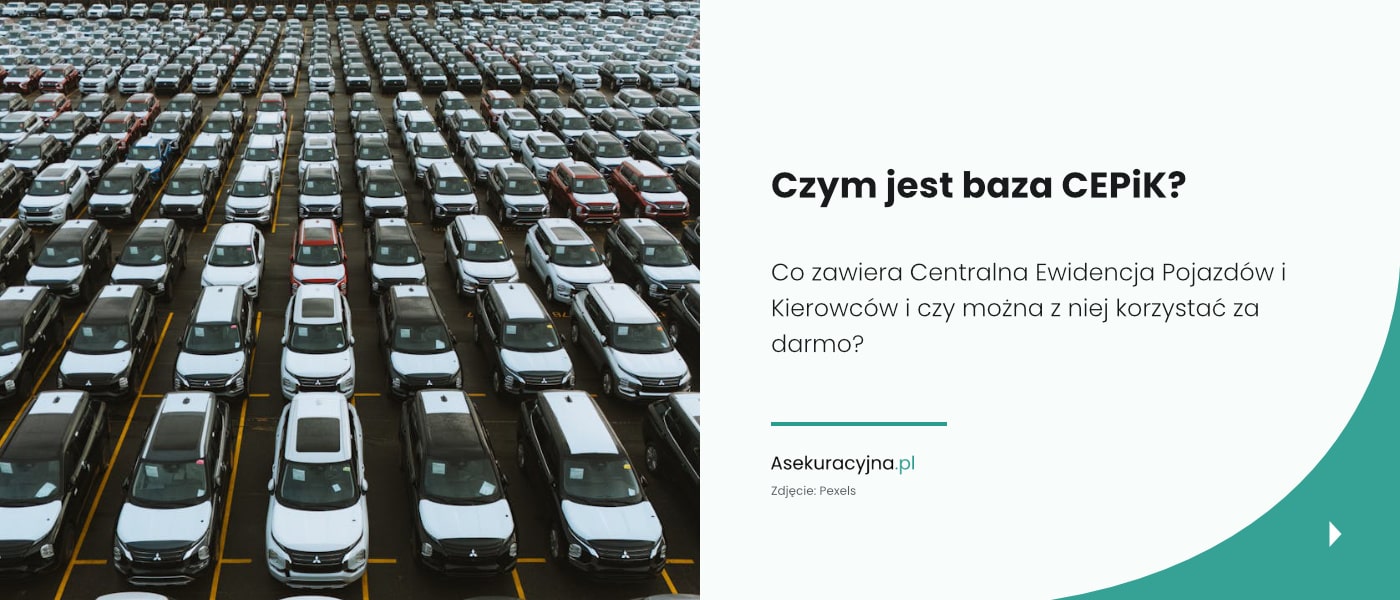 Czym jest baza CEPiK — Asekuracyjna.pl